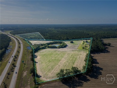 Prime Development Opportunity - 55 Cleared Acres Near I-16 - photo 6