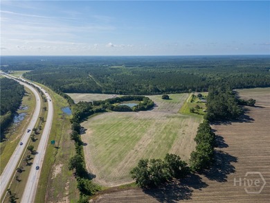 Prime Development Opportunity - 55 Cleared Acres Near I-16 - photo 7