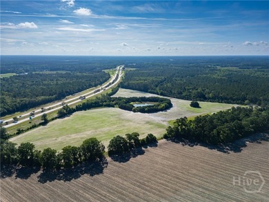 Prime Development Opportunity - 55 Cleared Acres Near I-16 - photo 8