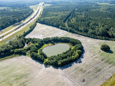 Prime Development Opportunity - 55 Cleared Acres Near I-16 - photo 9