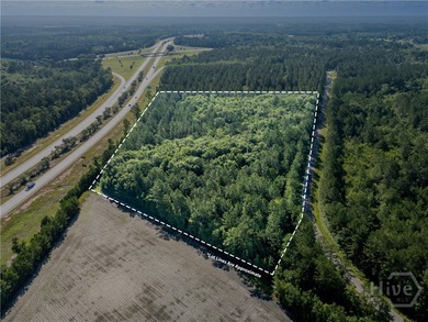 Prime Development Opportunity - 55 Cleared Acres Near I-16 - photo 10