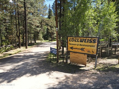 Discover a rare, one-of-a-kind opportunity: the iconic Edelweiss - photo 5