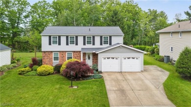 Lake Home For Sale in Aurora, Ohio