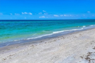Beachfront Bliss on Don Pedro Island - 100 Ft of Gulf Frontage! - photo 38