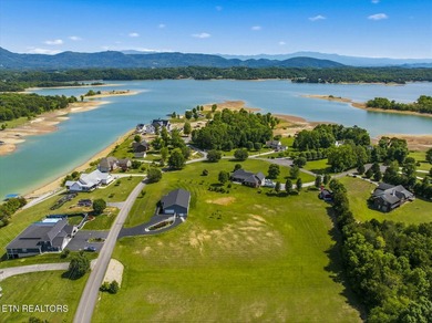 Welcome to East Tennessee living at its finest! This beautifully - photo 44