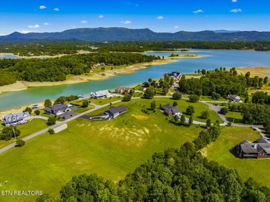 Welcome to East Tennessee living at its finest! This beautifully - photo 45