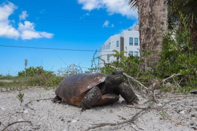 Beachfront Bliss on Don Pedro Island - 100 Ft of Gulf Frontage! - photo 48