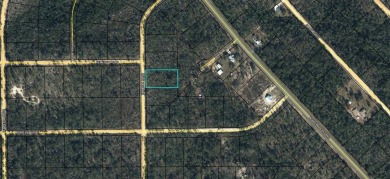 (private lake, pond, creek) Lot For Sale in Marianna Florida