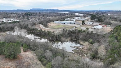 Lake Dardanelle Commercial For Sale in Russellville Arkansas