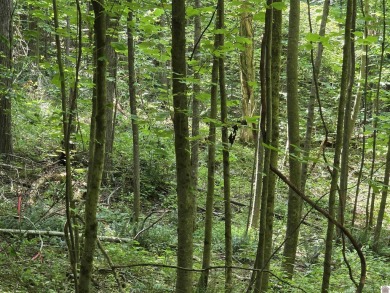 Lake Lot For Sale in Cadiz, Kentucky