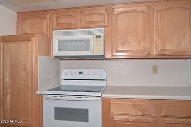 Great opportunity to make this 2 bed, 2 bath Gemini town home in - photo 11