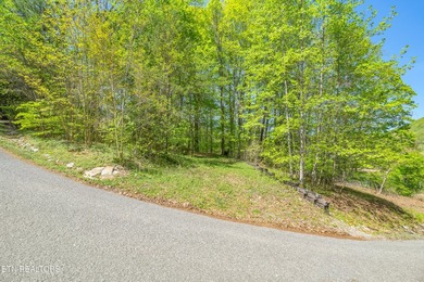 Lake Lot For Sale in Caryville, Tennessee