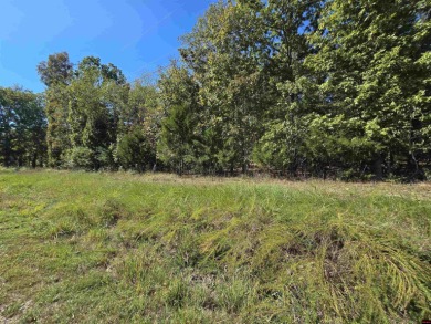 Bull Shoals Lake Lot For Sale in Bull Shoals Arkansas