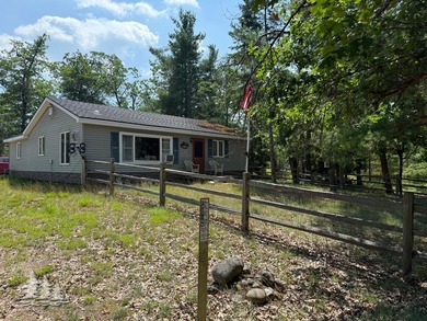 (private lake, pond, creek) Home For Sale in Atlanta Michigan