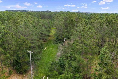 LAND! 64.27 unrestricted acres offering endless possibilities! - photo 11