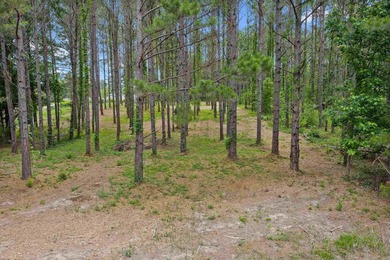 LAND! 64.27 unrestricted acres offering endless possibilities! - photo 12