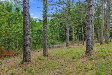 LAND! 64.27 unrestricted acres offering endless possibilities! - photo 14