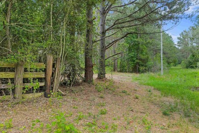 LAND! 64.27 unrestricted acres offering endless possibilities! - photo 15