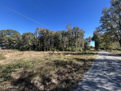 Lake Acreage For Sale in Mendenhall, Mississippi