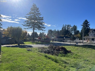 Owner May Carry! & Ready to be built on. Site built - photo 8