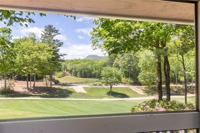 Discover the incredible potential of this spacious condominium - photo 33