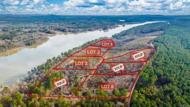 Lake Greeson Acreage For Sale in Daisy Arkansas