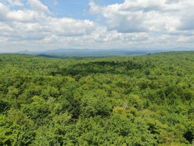 Lake Acreage For Sale in Dover-Foxcroft, Maine