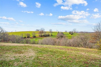 99 +/- acres with stunning views of Table Rock Lake! This - photo 3