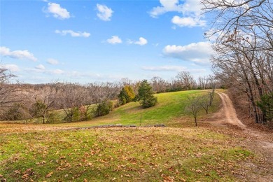 99 +/- acres with stunning views of Table Rock Lake! This - photo 4