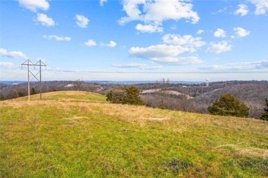 99 +/- acres with stunning views of Table Rock Lake! This - photo 5
