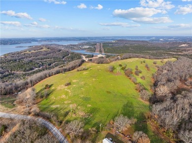 99 +/- acres with stunning views of Table Rock Lake! This - photo 7