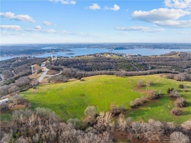 99 +/- acres with stunning views of Table Rock Lake! This - photo 9