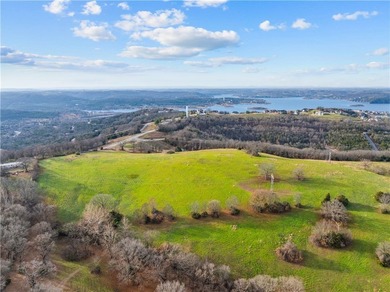 99 +/- acres with stunning views of Table Rock Lake! This - photo 10