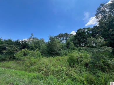 Lake Acreage For Sale in Murray, Kentucky