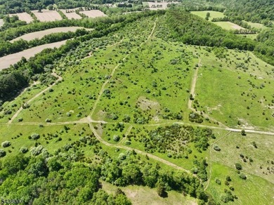 Welcome to one of Western New Jersey's most exceptional land - photo 3