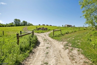 Welcome to one of Western New Jersey's most exceptional land - photo 7