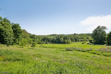 Welcome to one of Western New Jersey's most exceptional land - photo 8
