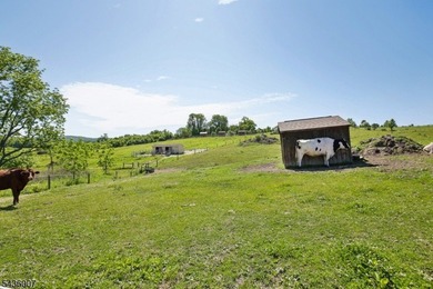 Welcome to one of Western New Jersey's most exceptional land - photo 10