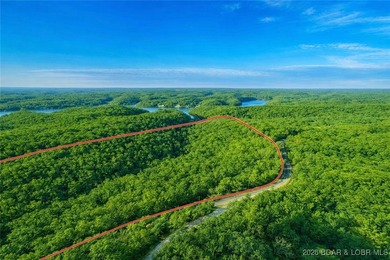 Nearly 50 acres of stunning Ozark beauty-this is your - photo 11