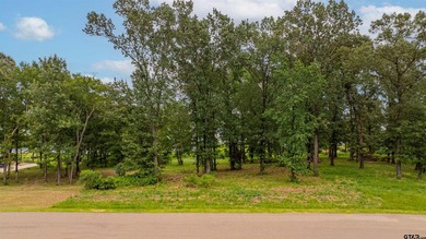 Awesome Waterfront Lot in Sterling Shores - Lake Bob Sandlin - photo 11