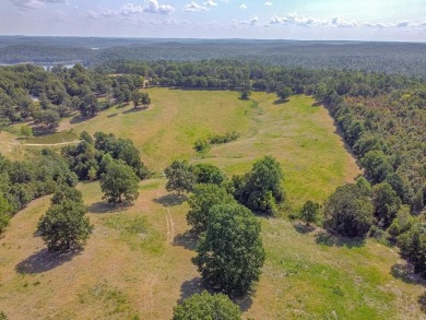 Welcome to Market 36.26 +/- acres on County Road 66 in Calico - photo 12