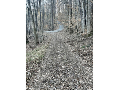Discover the perfect blend of serenity and opportunity with this - photo 12
