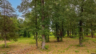 Awesome Waterfront Lot in Sterling Shores - Lake Bob Sandlin - photo 13
