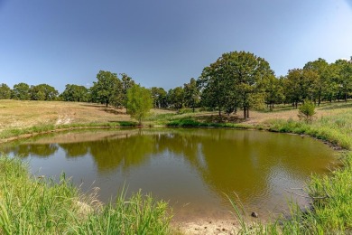Welcome to Market 36.26 +/- acres on County Road 66 in Calico - photo 15