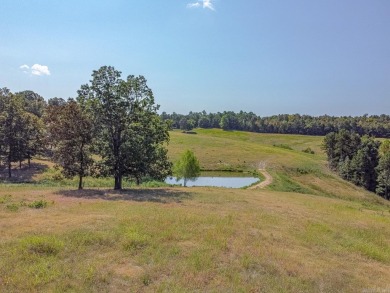 Welcome to Market 36.26 +/- acres on County Road 66 in Calico - photo 16