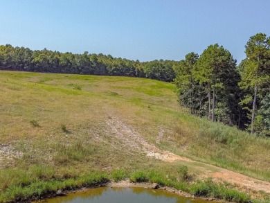 Welcome to Market 36.26 +/- acres on County Road 66 in Calico - photo 17