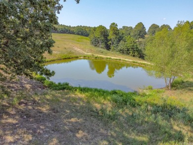 Welcome to Market 36.26 +/- acres on County Road 66 in Calico - photo 18