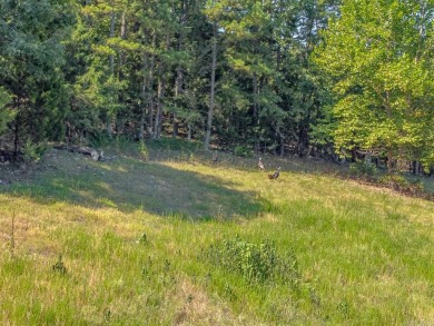 Welcome to Market 36.26 +/- acres on County Road 66 in Calico - photo 21