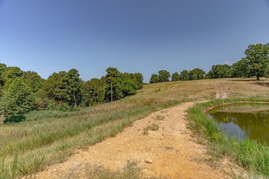 Welcome to Market 36.26 +/- acres on County Road 66 in Calico - photo 23