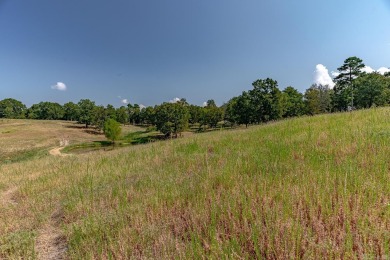 Welcome to Market 36.26 +/- acres on County Road 66 in Calico - photo 24